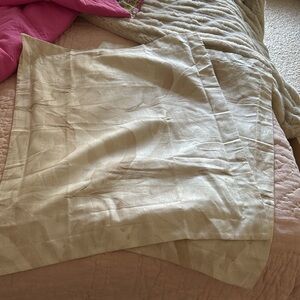 Pottery Barn Standard Shams (2)